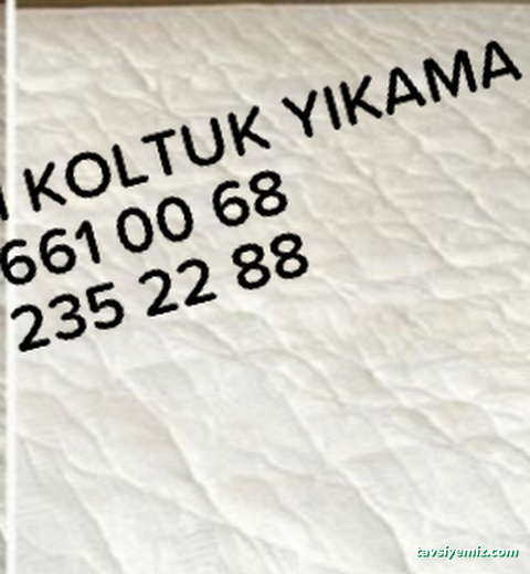 Aksaray Hanımeli Halı Yıkama Aksaray Hanımeli Halı Yıkama