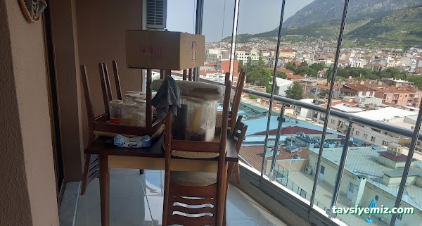 Manisa Güntekin Temizlik Hizmetleri Manisa Güntekin Temizlik Hizmetleri