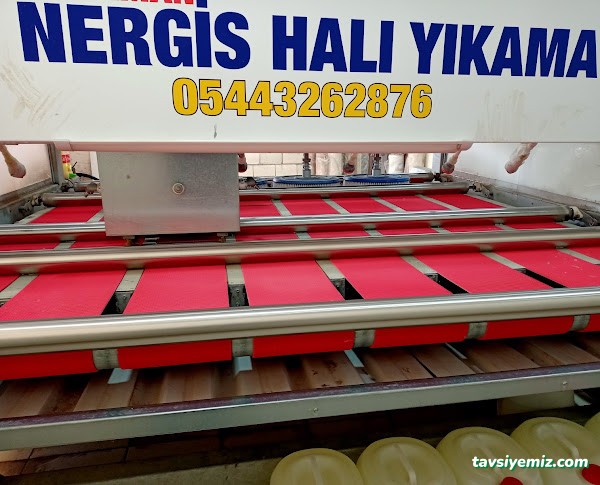 Adıyaman Nergis Halı Ve Koltuk Yıkama