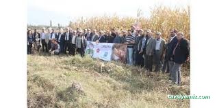 Koçbağ Tarım Koçbağ Tarım