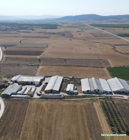 Drone Çekimleri Drone Çekimleri