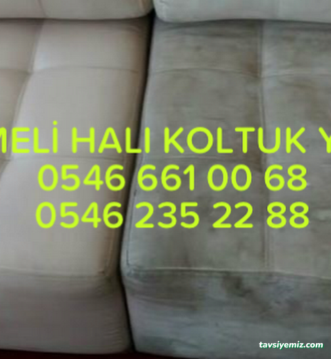 Aksaray Hanımeli Halı Yıkama Aksaray Hanımeli Halı Yıkama