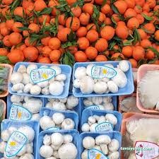Özpaş Gıda Toptan Market İşletmesi Özpaş Gıda Toptan Market İşletmesi