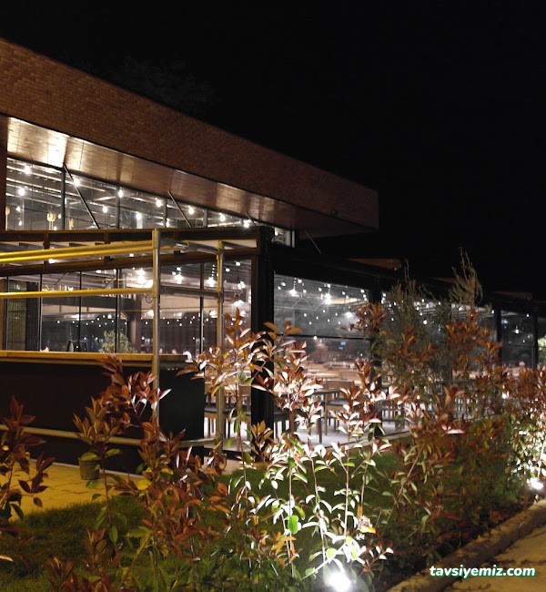 Olive Cafe & Restaurant Olive Cafe & Restaurant