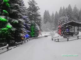 Artvin Kafkasor Belediye Sosyal Tesisleri Artvin Kafkasor Belediye Sosyal Tesisleri