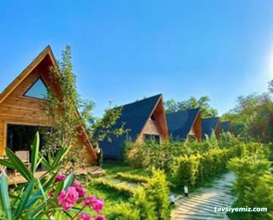 Sapanca Köy Bungalov Sapanca Köy Bungalov