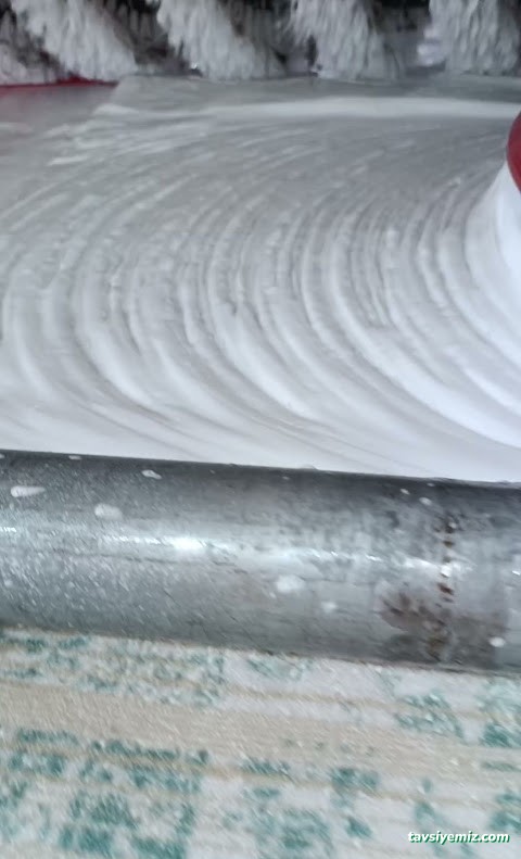 Yıldız Temizlik Halı Ve Koltuk Yıkama Yıldız Temizlik Halı Ve Koltuk Yıkama