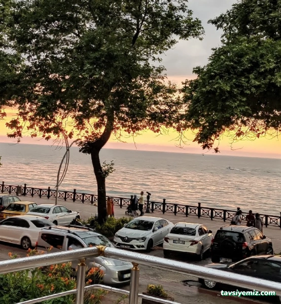 Mutlu Pansiyon