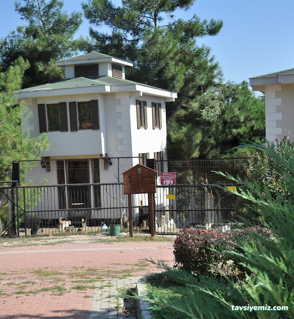 Osmangazi Belediyesi Sahipsiz Hayvanlar Doğal Yaşam Merkezi Osmangazi Belediyesi Sahipsiz Hayvanlar Doğal Yaşam Merkezi