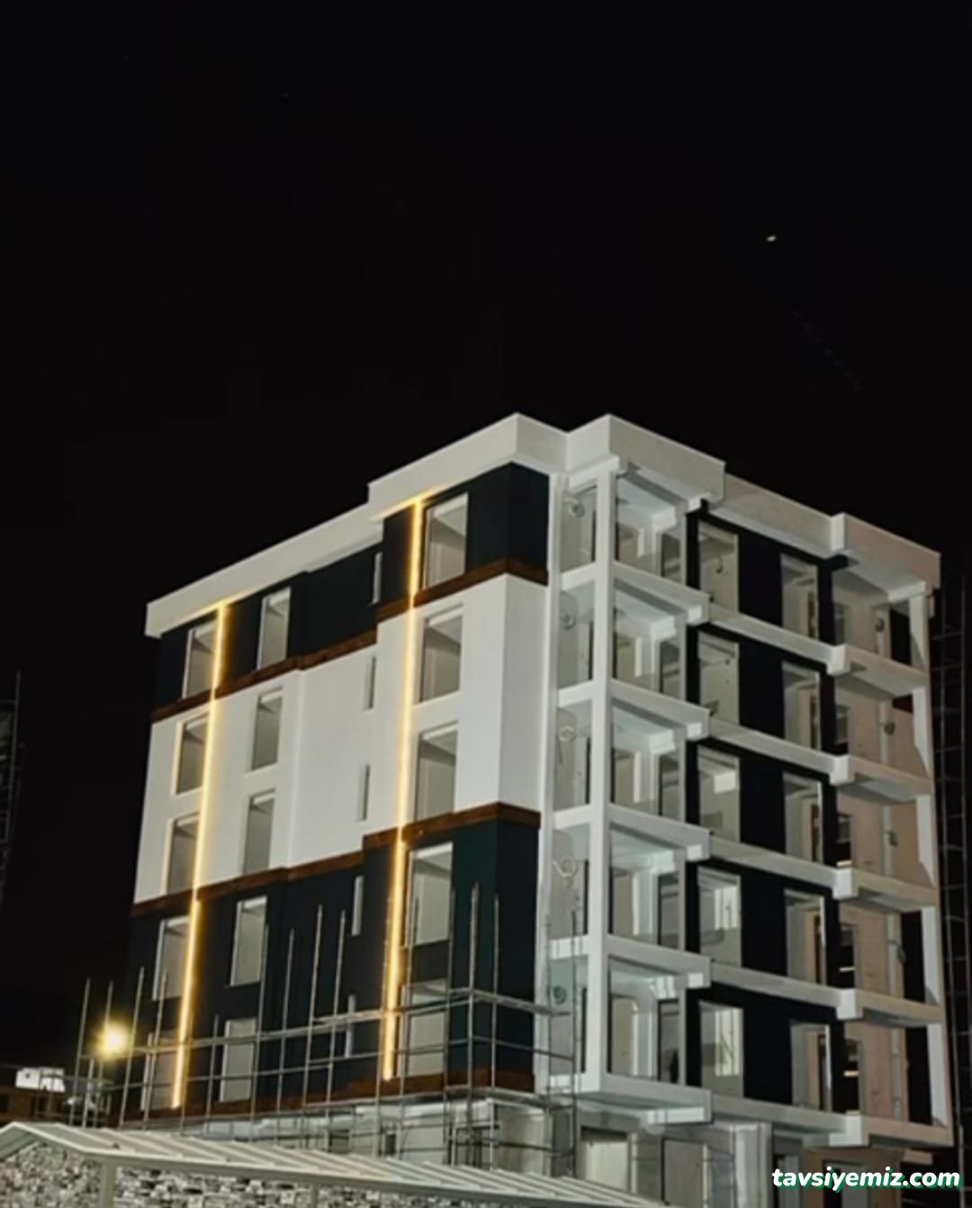 Holly Asıl Boya