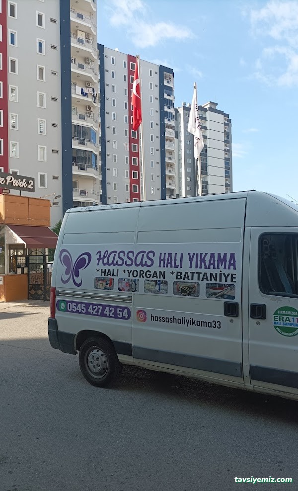 Hassas Halı Yıkama Mersin Hassas Halı Yıkama Mersin