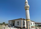 Adana Tarım Açık Ceza İnfaz Kurumu Adana Tarım Açık Ceza İnfaz Kurumu