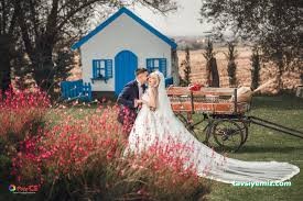 Love Garden