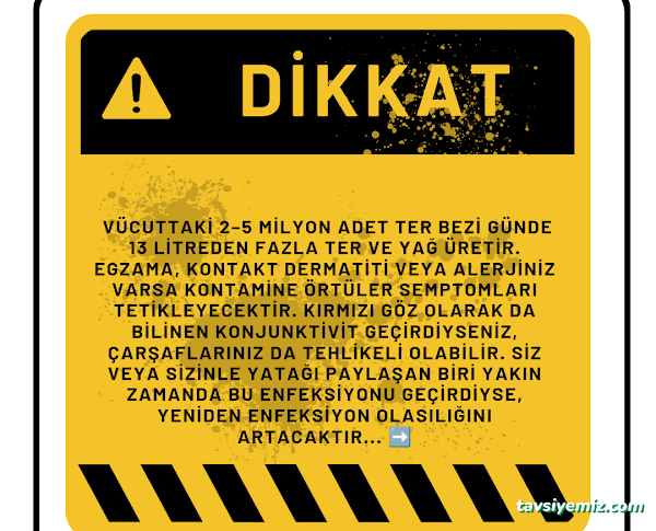Elit Kuru Temizleme Koltuk Yıkama Elit Kuru Temizleme Koltuk Yıkama