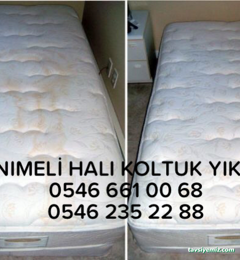 Aksaray Hanımeli Halı Yıkama Aksaray Hanımeli Halı Yıkama