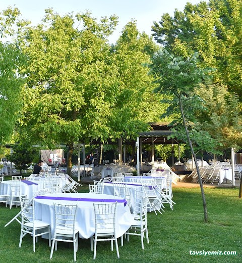 Hayal Bahçesi Hayal Bahçesi