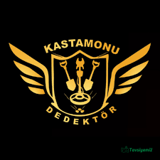 Kastamonu Dedektör Kastamonu Dedektör