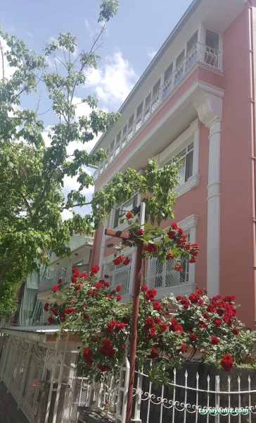 Zarina Hotel Pansiyon Zarina Hotel Pansiyon