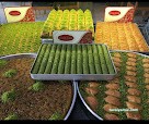 Künefeci Emin Usta Künefeci Emin Usta