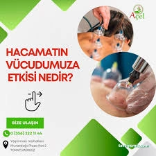 Açel Güzellik Ve Sağlıklı Yaşam Açel Güzellik Ve Sağlıklı Yaşam