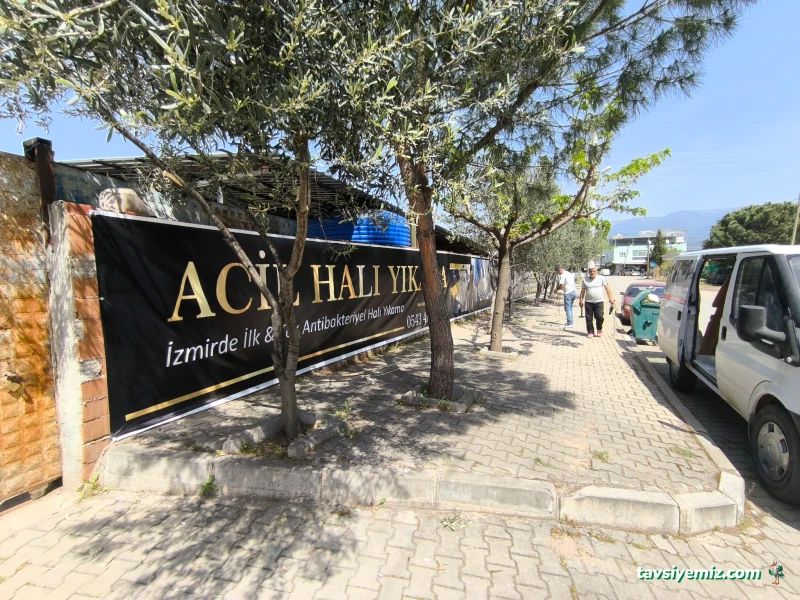 Acil Halı Yıkama