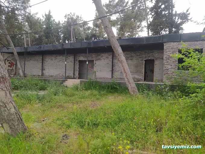 Adana Korku Evi Escape Adana Korku Evi Escape