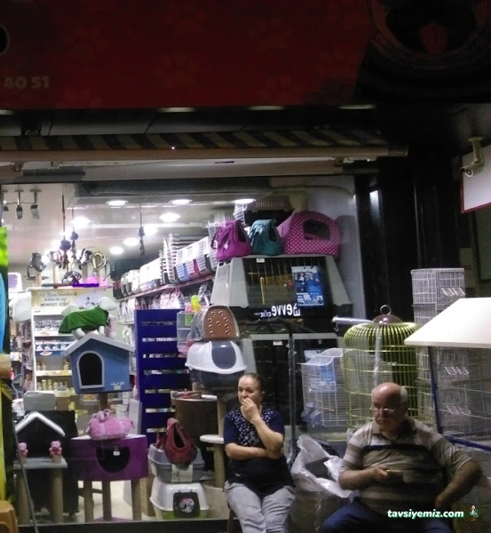 Adanus Petshop