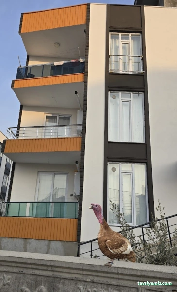Adıyaman Çevik Yapı Ve Dekorasyon Adıyaman Çevik Yapı Ve Dekorasyon