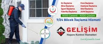 Gelişim Haşere Kontrol Gelişim Haşere Kontrol