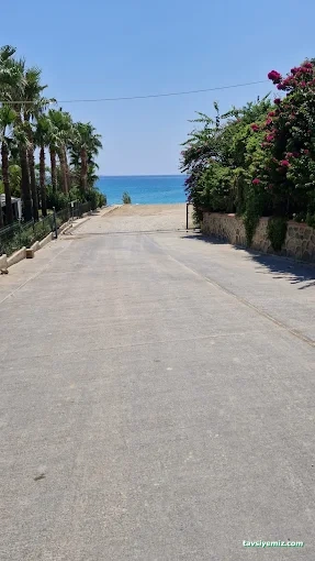 Ağaçlı Dinlenme Tesisi