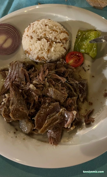Agara Agara