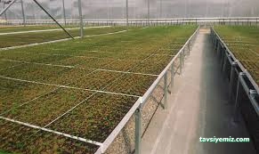 Agronet Seracılık Agronet Seracılık