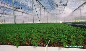 Agronet Seracılık Agronet Seracılık