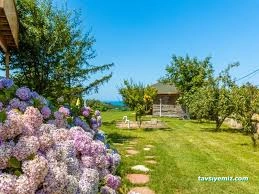 Ağva Teras Garden Otel & Bungalov