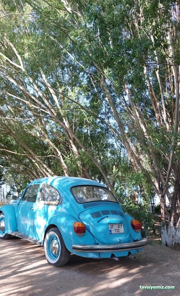 Aile Çay Bahçesi,Piknik Alanı Ve Kamp Alanı Aile Çay Bahçesi,Piknik Alanı Ve Kamp Alanı