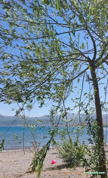 Aile Çay Bahçesi,Piknik Alanı Ve Kamp Alanı Aile Çay Bahçesi,Piknik Alanı Ve Kamp Alanı