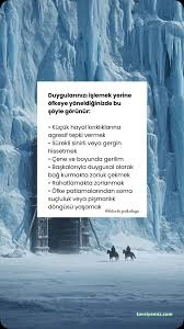 Aile Danışmanı Sibel Gökçe Aile Danışmanı Sibel Gökçe