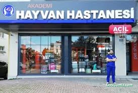 Akademi Hayvan Hastanesi | Atakum Samsun Veteriner