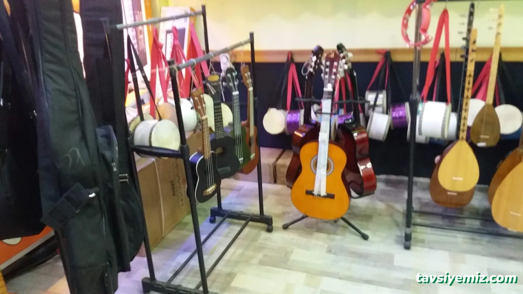 Akademi Müzik Akademi Müzik