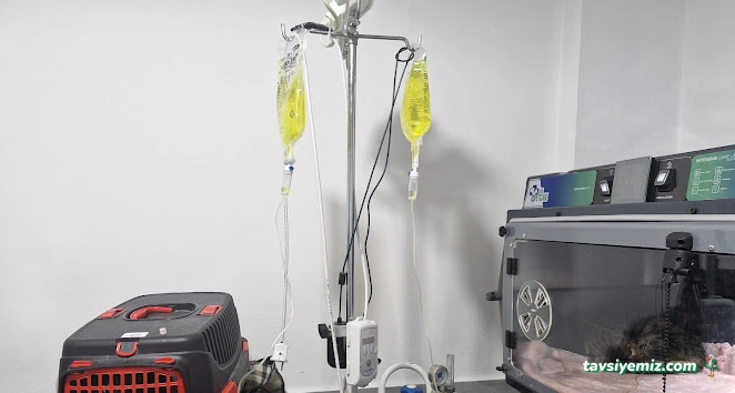 Akçay Veteriner Kliniği