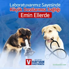 Aksaray Hayvan Hastanesi Aksaray Hayvan Hastanesi