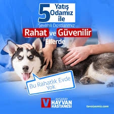 Aksaray Hayvan Hastanesi Aksaray Hayvan Hastanesi