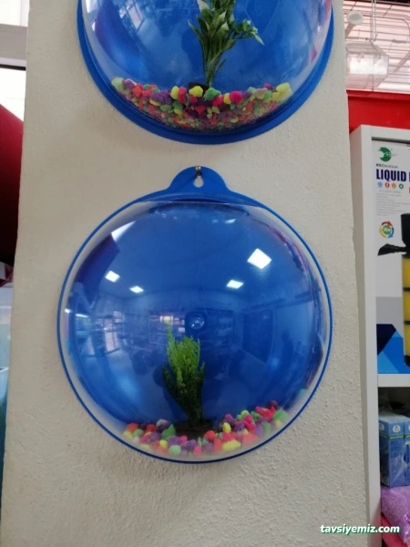 Akvaryum 23 Akvaryum 23