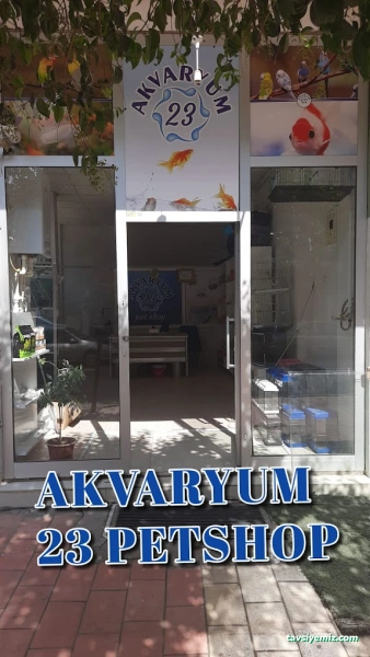 Akvaryum 23 Akvaryum 23