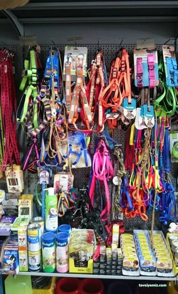 Akvaryuss Pet Shop