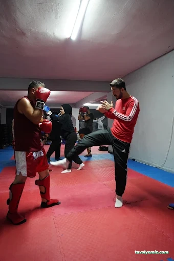 Alfa Fight Club Alfa Fight Club