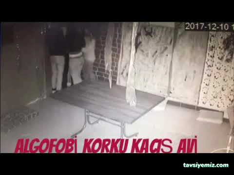 Algofobi Korku Evi Algofobi Korku Evi