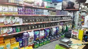 Alice Pet Shop