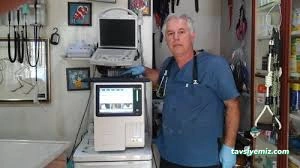 Alın Pet Veteriner Kliniği Alın Pet Veteriner Kliniği