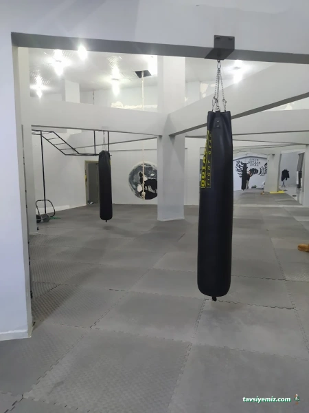 Alpakurt Mma Salonu Alpakurt Mma Salonu